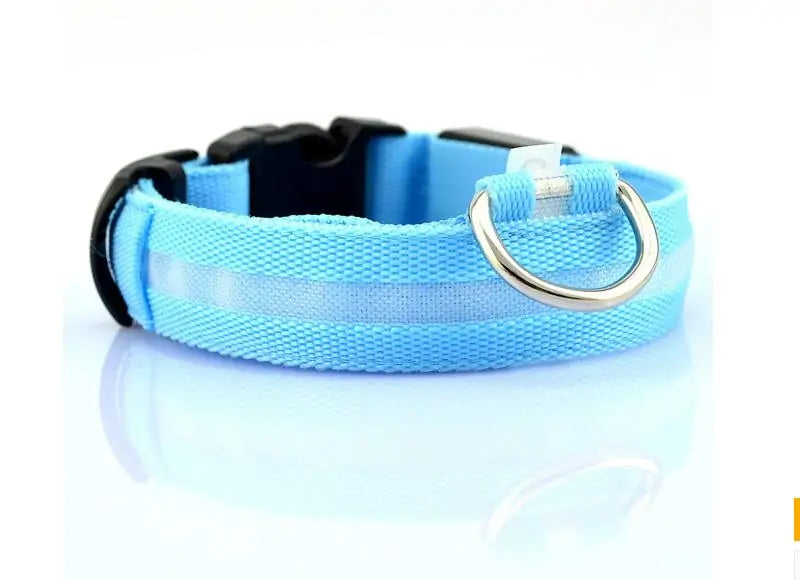 LED Pet Dog Collar for Night Safety, Nylon Leash with Glow-in-the-Dark Feature